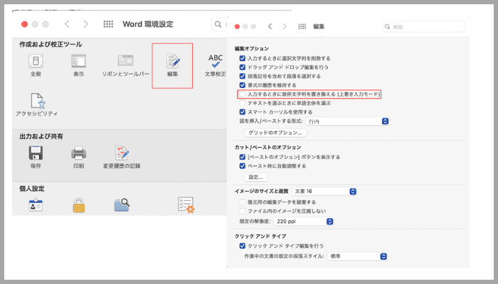 Wordで入力した文字が表示されない時の対処法【Mac編】上書き入力モードをオフ