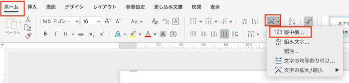 Wordで文字を90度回転できない時の対処法【Mac編】④：縦中横の設定