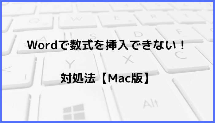 Wordで数式を挿入できない時の対処法【Mac編】