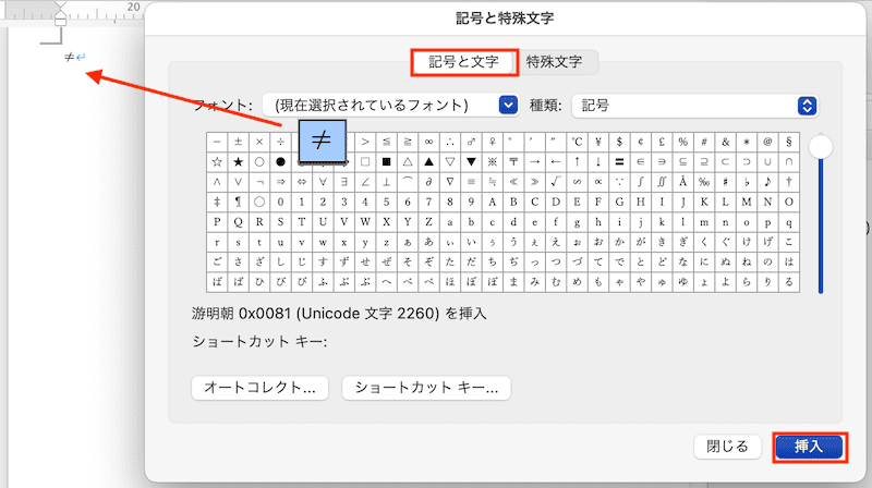 Wordで直接入力できない時の対処法【Mac編】対処法対処法③：記号と特殊文字の挿入