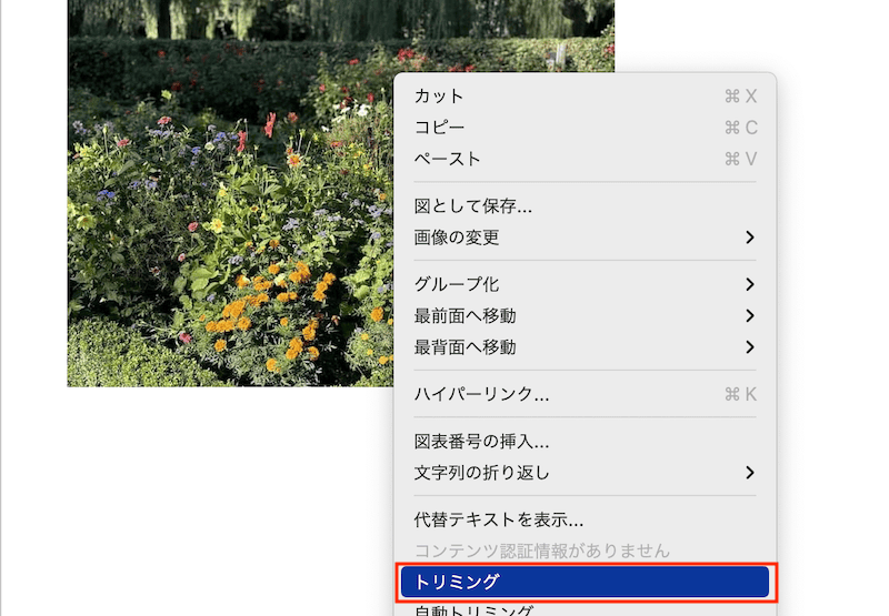 Wordでトリミングができない時の対処法【Mac編】①：右クリックのメニューを使用