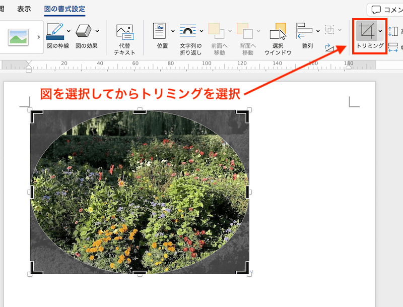 Wordでトリミングができない時の対処法【Mac編】②：図形に合わせてトリミング