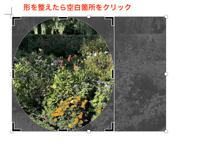 Wordでトリミングができない時の対処法【Mac編】②：図形に合わせてトリミング
