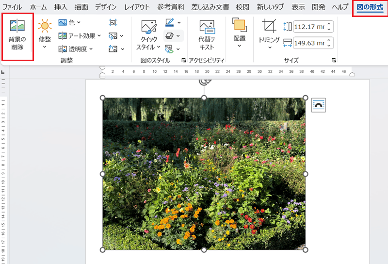 Wordでトリミングができない時の対処法【Windows版】③：背景の削除