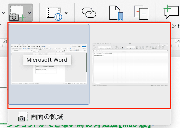 Wordでスクリーンショット(スクショ)ができない時の対処法【Mac編】②：使用できるウィンドウから選択