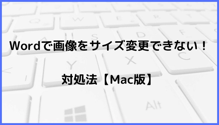 Wordで画像をサイズ変更できない時の対処法【Mac編】