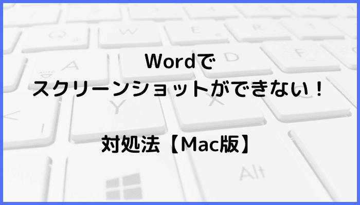 Wordでスクリーンショット(スクショ)ができない時の対処法【Mac編】