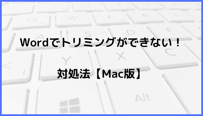 Wordでトリミングができない時の対処法【Mac編】