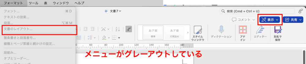 Wordでページ設定ができない時の対処法【Mac編】③：表示設定の解除