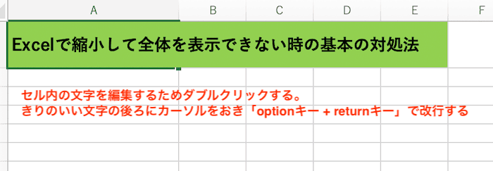 Excelで縮小して全体を表示できない時の対処法【Mac編】③：セル内で改行する