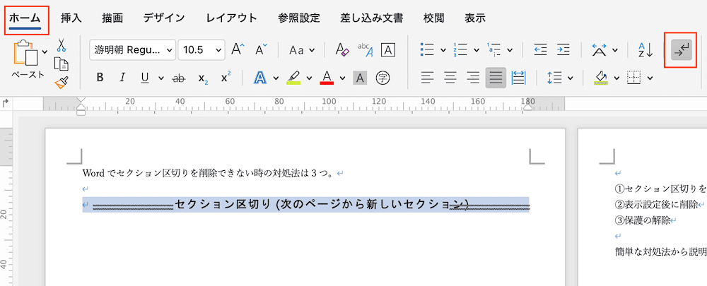 Wordでセクション区切りを削除できない時の対処法【Mac版】②：表示設定後に削除