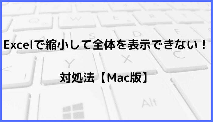 Excelで縮小して全体を表示できない時の対処法【Mac編】